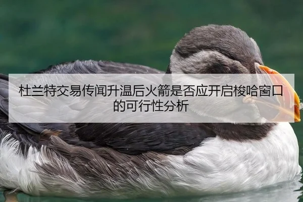 杜兰特交易传闻升温后火箭是否应开启梭哈窗口的可行性分析